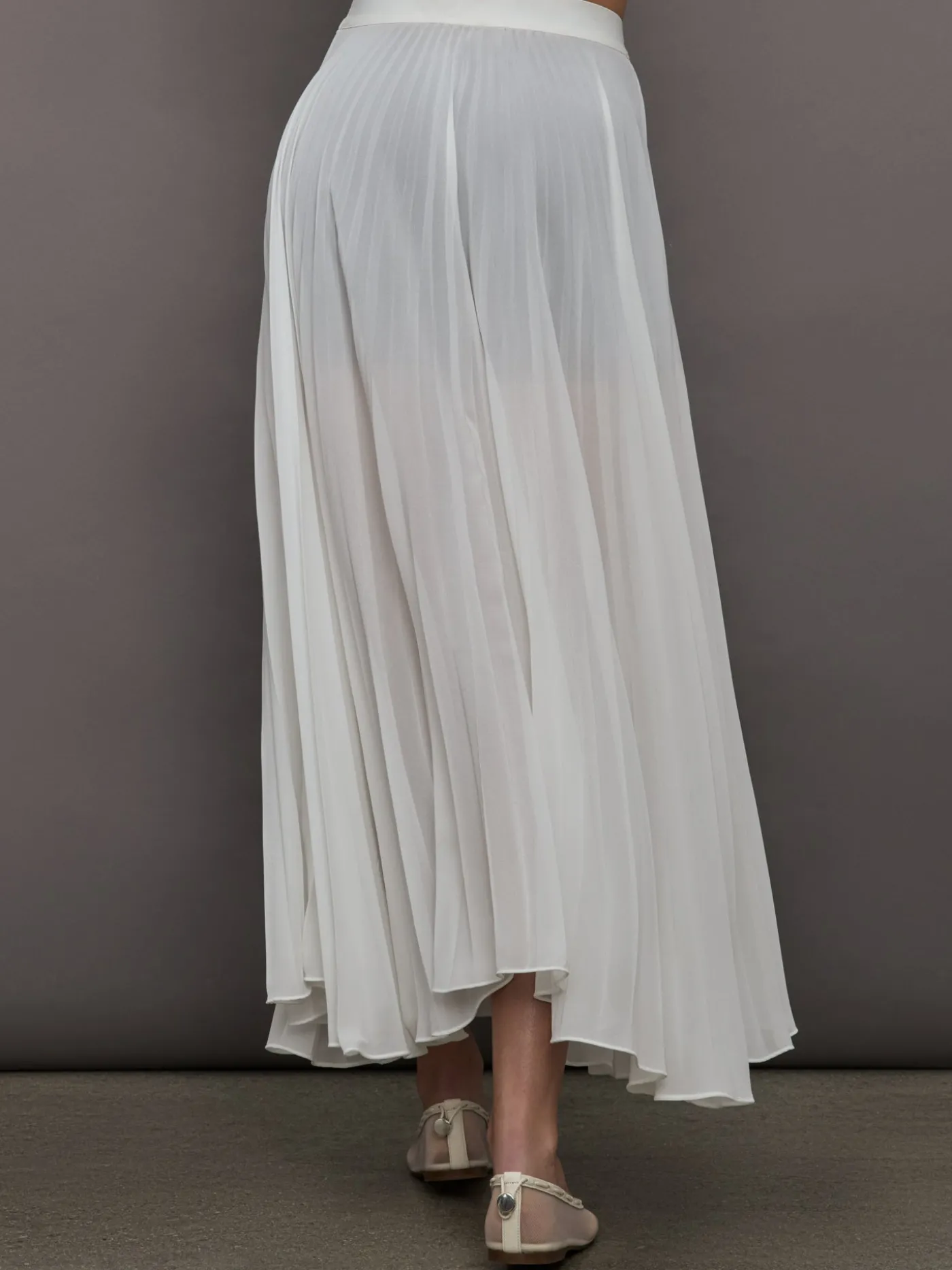 Mesh Pleated Skirt