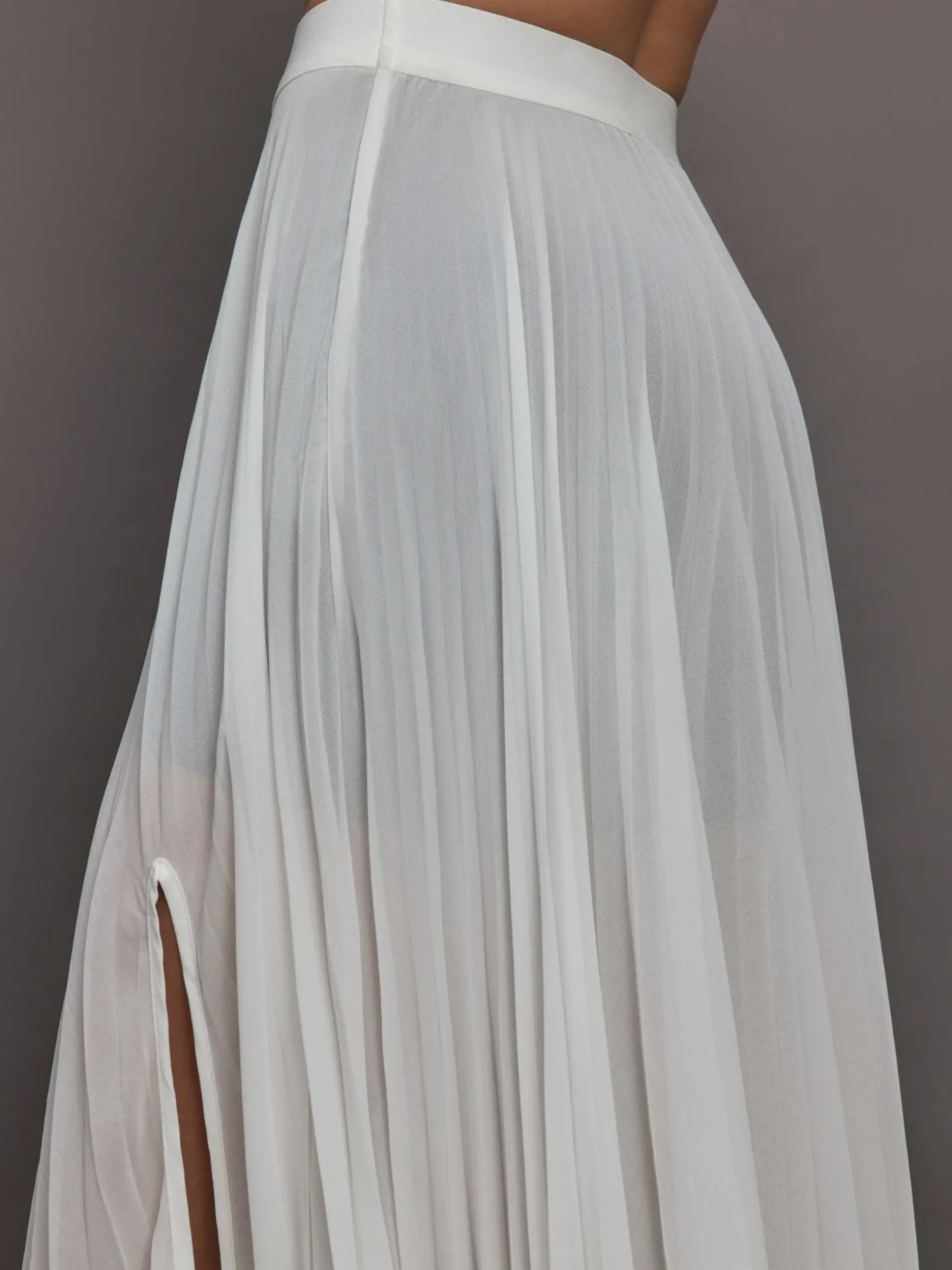 Mesh Pleated Skirt